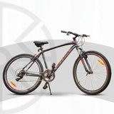 Viva Excelle 29 inch (Orange)