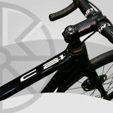 OW C21 PRO EDITION Full Carbon Road Bike