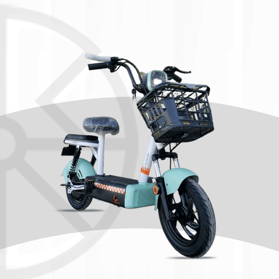 Kugoo T4