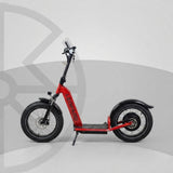 Leopard Electric Scooter