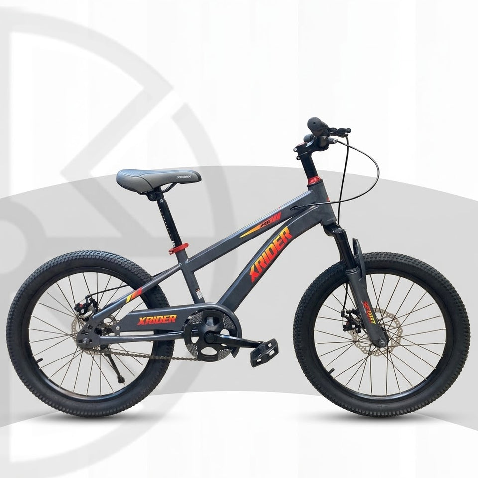X RIDER 20Inch (gray)