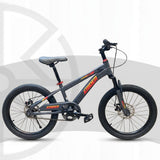 X RIDER 20Inch (gray)