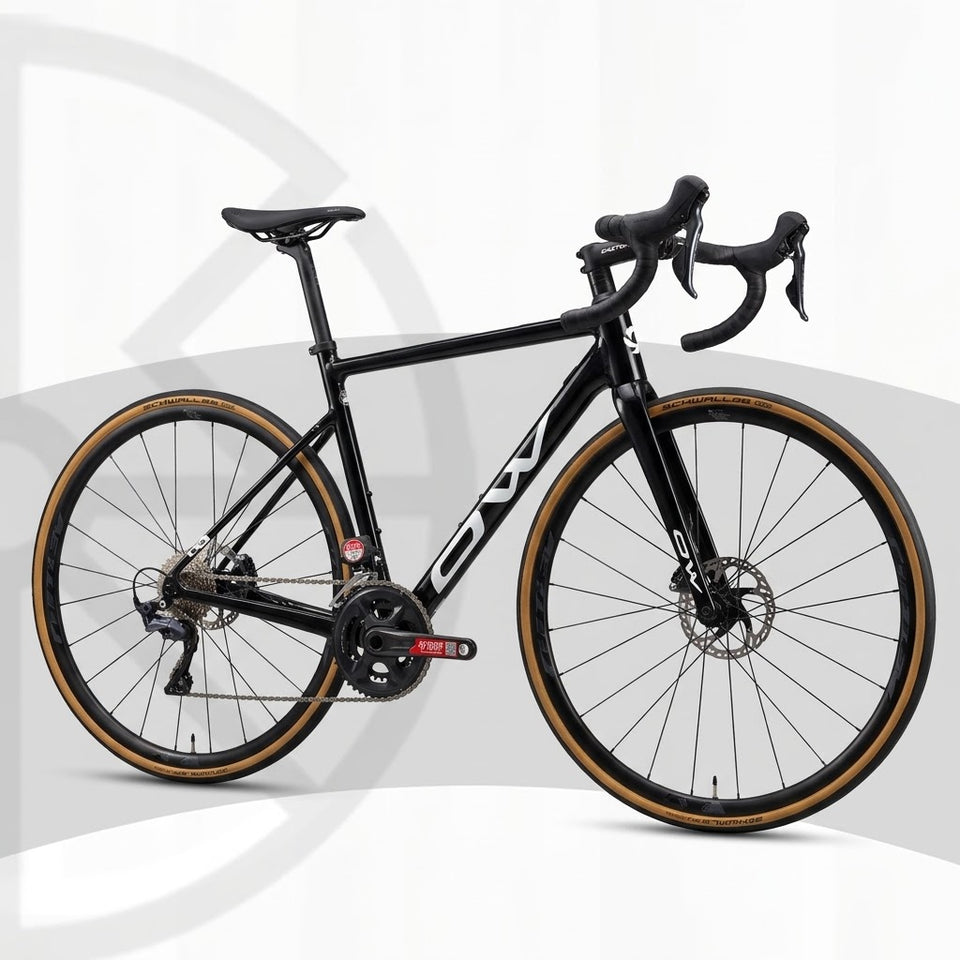 OW C21 Full Carbon Road Bike