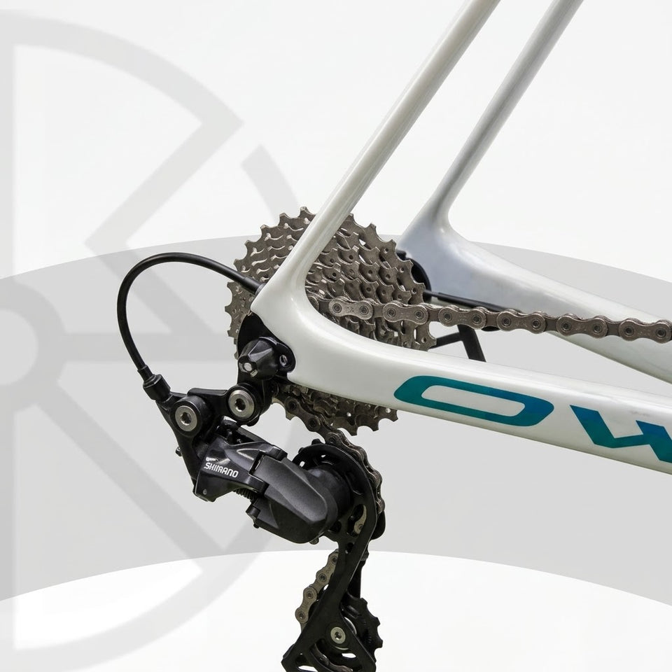 OW SL21 PRO Edition Full Carbon Road Bike (White)