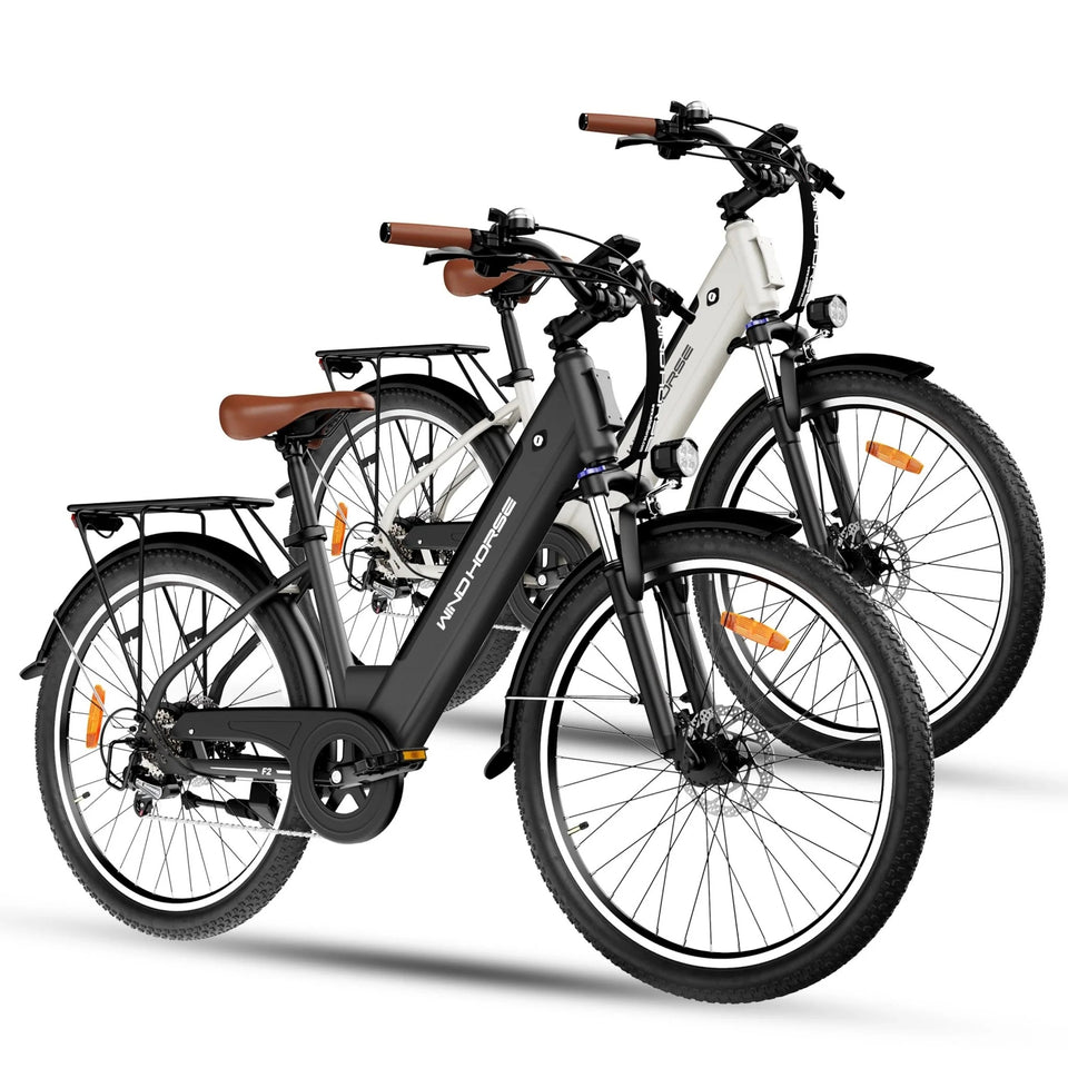 Windhorse F2 ebike 26