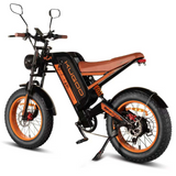 Kugoo V6.