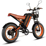 Kugoo V6.