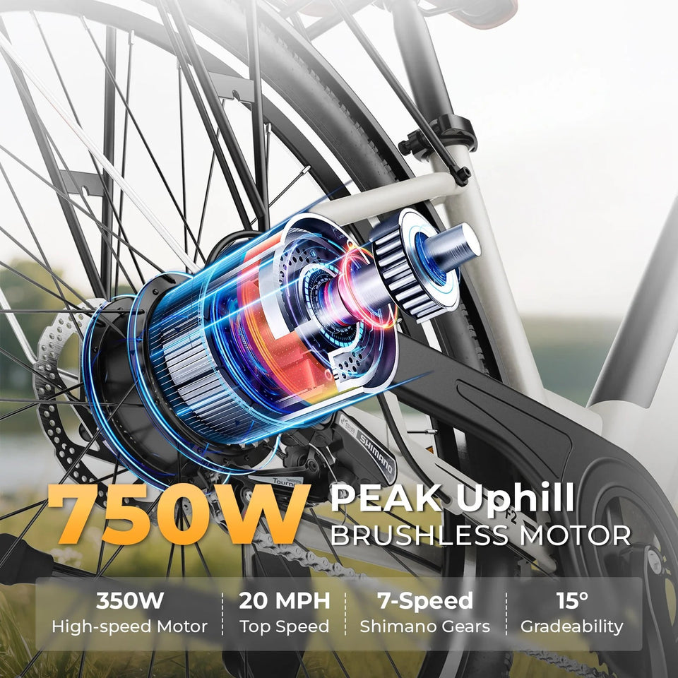 Windhorse F2 ebike 26