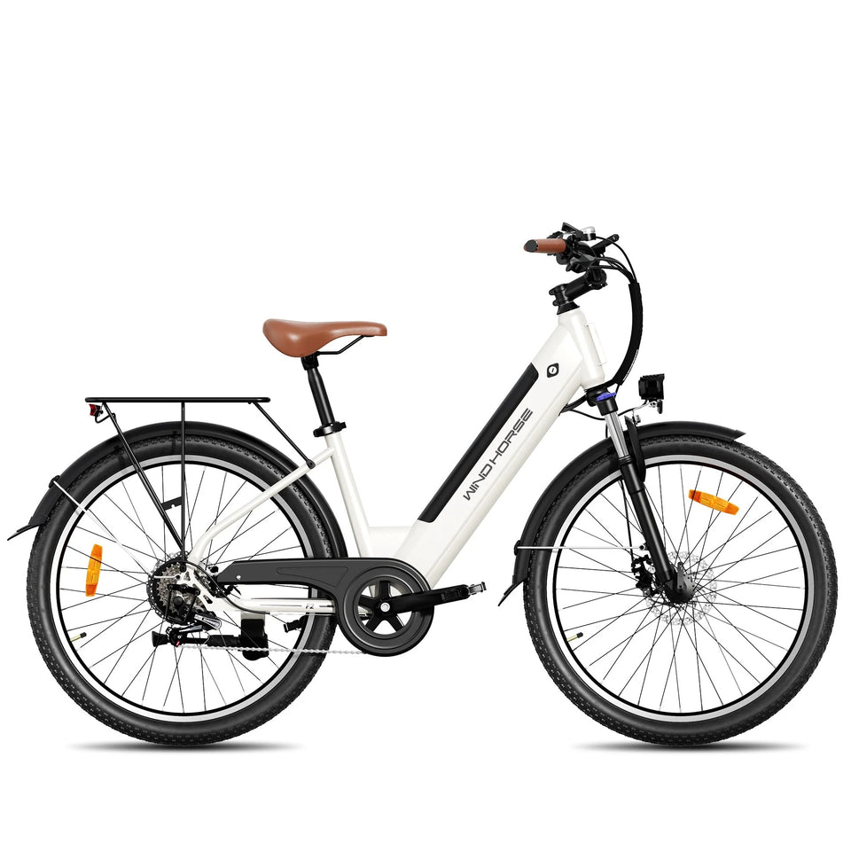 Windhorse F2 ebike 26