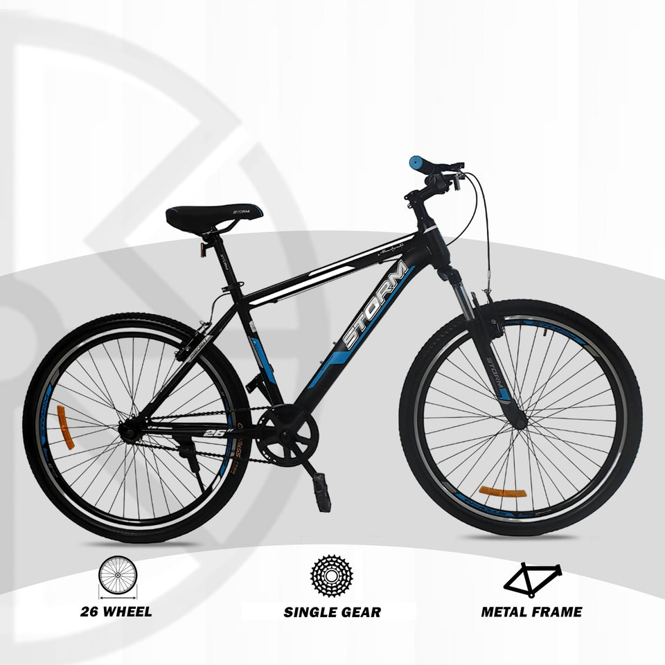 Storm Marcaret 26 single speed metal