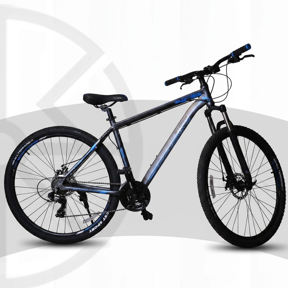Storm X560 29 Inch (Blue)