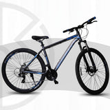 Storm X560 29 Inch (Blue)